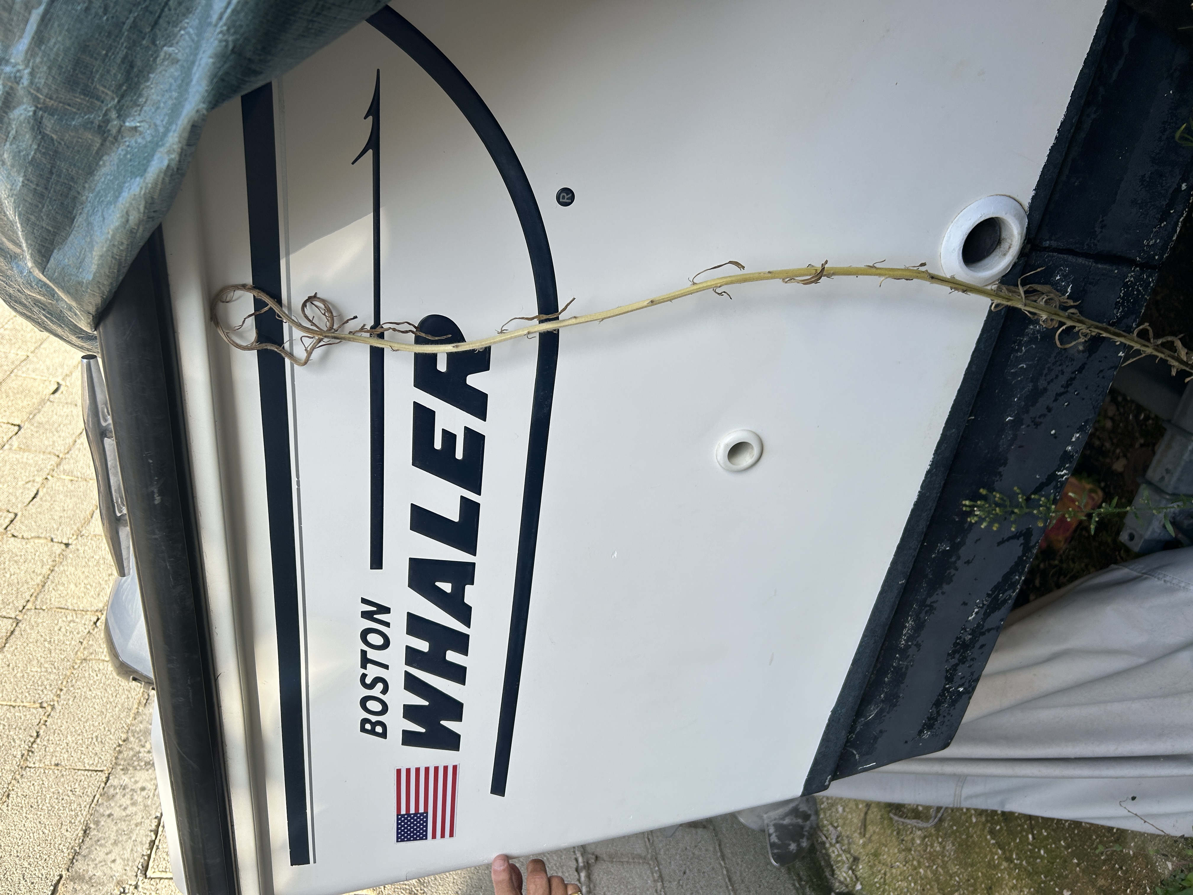 slider 8 Boston Whaler  24 Outrage